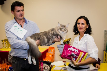 2013.okt 5.Best of Breed and Best in Show